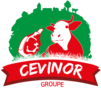 Logo CEVINOR_Plan de travail 1